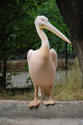 Similar image 705394