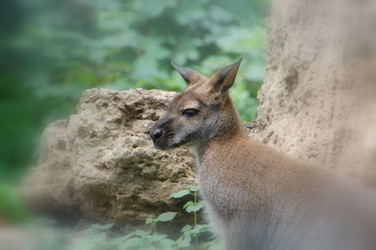 Similar image 705399