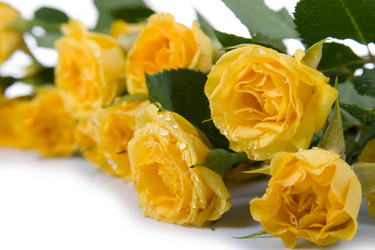 Similar image 705434