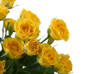 Similar image 705436