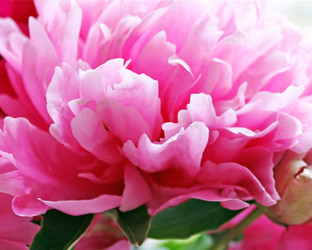 Similar image 705444