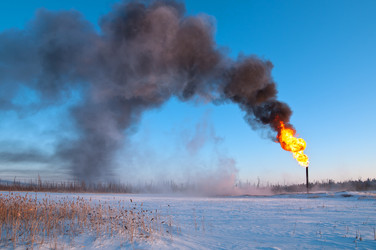 Similar image 705450