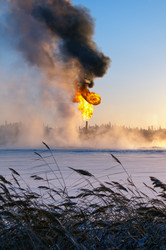 Similar image 705454