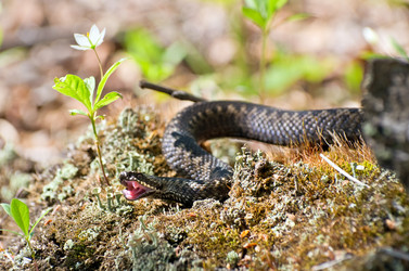 Similar image 705470