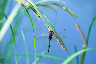 Similar image 705471