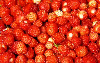 Similar image 705485