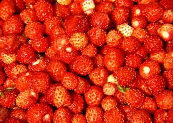 Similar image 705486