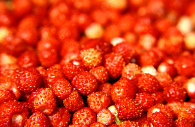 Similar image 705487