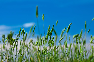 Similar image 705530