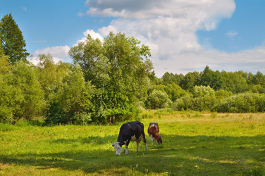 Similar image 705533