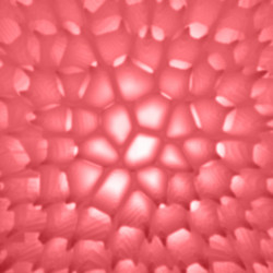 Similar image 705535