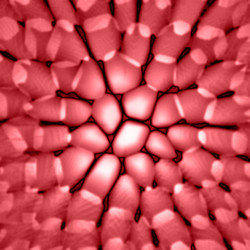 Similar image 705537