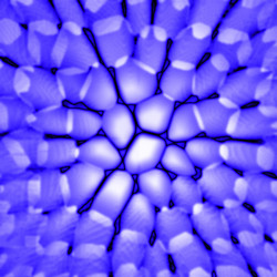 Similar image 705538