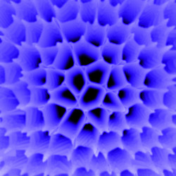 Similar image 705539