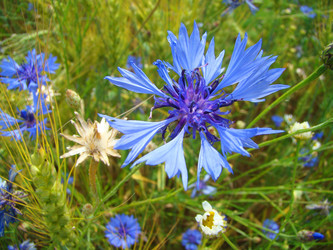 Similar image 705577