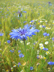 Similar image 705578