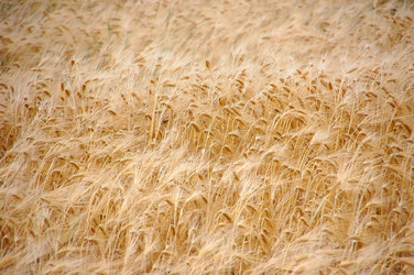 Similar image 705597