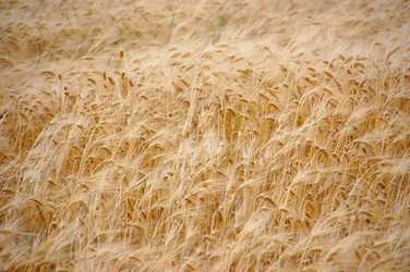 Similar image 705599