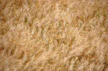 Similar image 705600