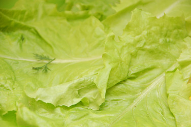 Similar image 705615