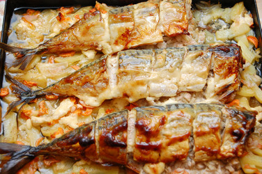 Similar image 705621