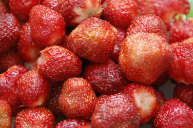 Similar image 705624