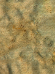 Similar image 705646