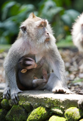 Similar image 705656