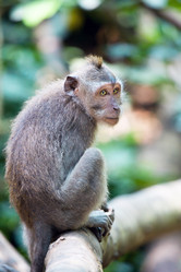 Similar image 705657