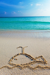 Similar image 705742