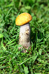 Similar image 705751