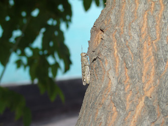 Similar image 705773