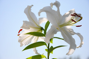 Similar image 705814