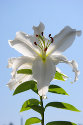 Similar image 705815