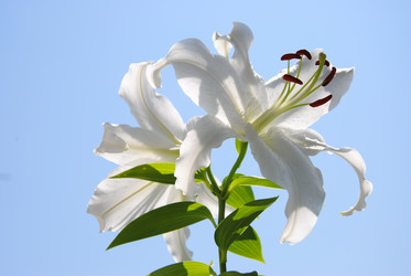 Similar image 705817