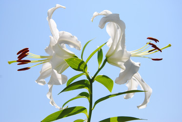 Similar image 705818