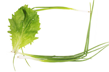 Similar image 705885