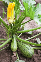 Similar image 705921