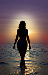 Similar image 705945