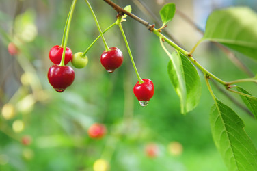 Similar image 705951