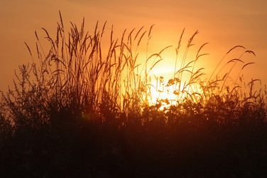 Similar image 705954