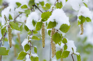 Similar image 705959