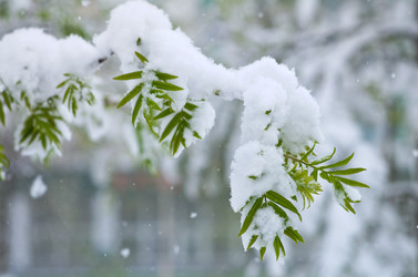 Similar image 705960