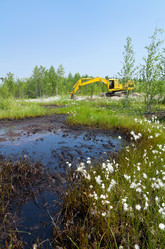 Similar image 705965