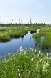 Similar image 705966