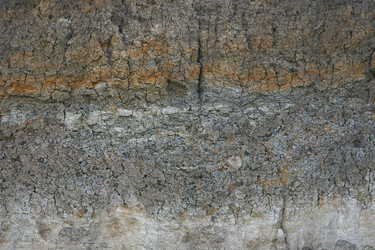 Similar image 705982