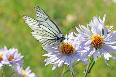 Similar image 705988