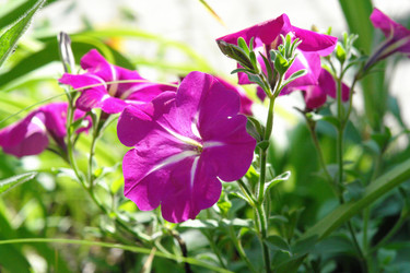 Similar image 705989