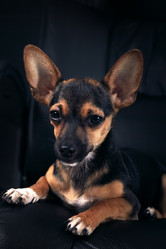 Similar image 706001