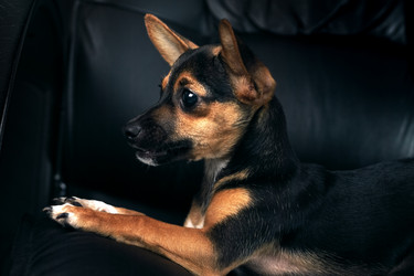 Similar image 706002